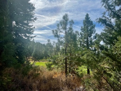 Backing to 18th Fairway of The Dragon at Nakoma! This homesite on Nakoma Golf Resort in California - for sale on GolfHomes.com, golf home, golf lot