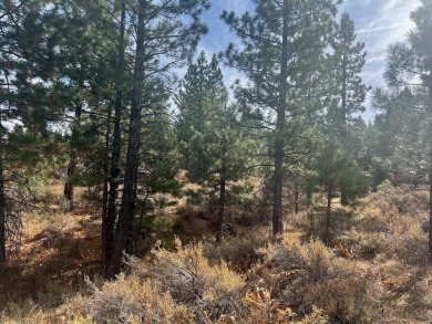 Backing to 18th Fairway of The Dragon at Nakoma! This homesite on Nakoma Golf Resort in California - for sale on GolfHomes.com, golf home, golf lot