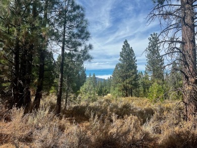 Backing to 18th Fairway of The Dragon at Nakoma! This homesite on Nakoma Golf Resort in California - for sale on GolfHomes.com, golf home, golf lot