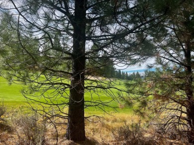 Backing to 18th Fairway of The Dragon at Nakoma! This homesite on Nakoma Golf Resort in California - for sale on GolfHomes.com, golf home, golf lot