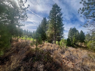 Backing to 18th Fairway of The Dragon at Nakoma! This homesite on Nakoma Golf Resort in California - for sale on GolfHomes.com, golf home, golf lot