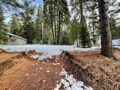 This is a great slightly up-sloping lot in the heart of the Lake on Lake Almanor Country Club in California - for sale on GolfHomes.com, golf home, golf lot