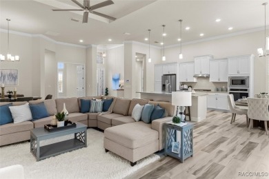 Enjoy incredible savings and move into a like-new home--without on Skyview At Terra Vista Golf and Country Club in Florida - for sale on GolfHomes.com, golf home, golf lot