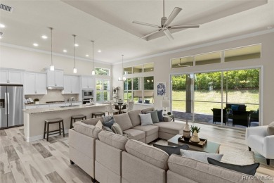 Enjoy incredible savings and move into a like-new home--without on Skyview At Terra Vista Golf and Country Club in Florida - for sale on GolfHomes.com, golf home, golf lot