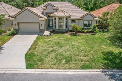 Enjoy incredible savings and move into a like-new home--without on Skyview At Terra Vista Golf and Country Club in Florida - for sale on GolfHomes.com, golf home, golf lot
