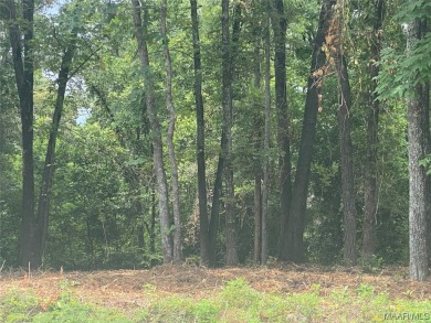 Beautiful building lot with trees across from Savannah Place! on The Pines Golf Club in Alabama - for sale on GolfHomes.com, golf home, golf lot