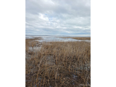 Make this undeveloped 5.65 wooded acres with 444' of water on Nahma Club in Michigan - for sale on GolfHomes.com, golf home, golf lot