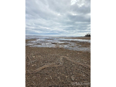 Make this undeveloped 5.65 wooded acres with 444' of water on Nahma Club in Michigan - for sale on GolfHomes.com, golf home, golf lot