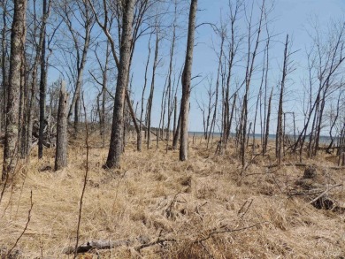 Make this undeveloped 5.65 wooded acres with 444' of water on Nahma Club in Michigan - for sale on GolfHomes.com, golf home, golf lot