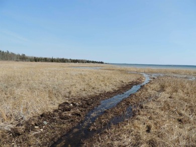 Make this undeveloped 5.65 wooded acres with 444' of water on Nahma Club in Michigan - for sale on GolfHomes.com, golf home, golf lot