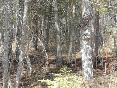 Make this undeveloped 5.65 wooded acres with 444' of water on Nahma Club in Michigan - for sale on GolfHomes.com, golf home, golf lot
