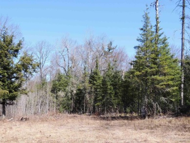 Make this undeveloped 5.65 wooded acres with 444' of water on Nahma Club in Michigan - for sale on GolfHomes.com, golf home, golf lot