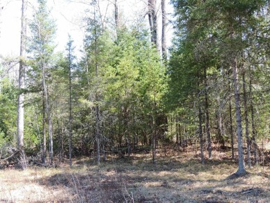 Make this undeveloped 5.65 wooded acres with 444' of water on Nahma Club in Michigan - for sale on GolfHomes.com, golf home, golf lot