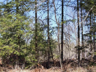 Make this undeveloped 5.65 wooded acres with 444' of water on Nahma Club in Michigan - for sale on GolfHomes.com, golf home, golf lot