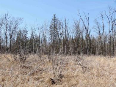 Make this undeveloped 5.65 wooded acres with 444' of water on Nahma Club in Michigan - for sale on GolfHomes.com, golf home, golf lot