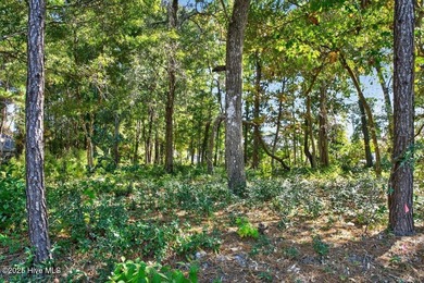 Prime 0.52-Acre Cul-de-Sac homesite in Sea Walk Subdivision - on Oyster Bay Golf Links in North Carolina - for sale on GolfHomes.com, golf home, golf lot