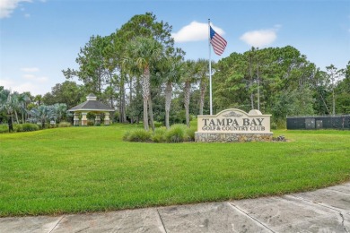 Located in the vibrant, guard-gated 55+ Tampa Bay Golf and on Tampa Bay Golf and Country Club in Florida - for sale on GolfHomes.com, golf home, golf lot