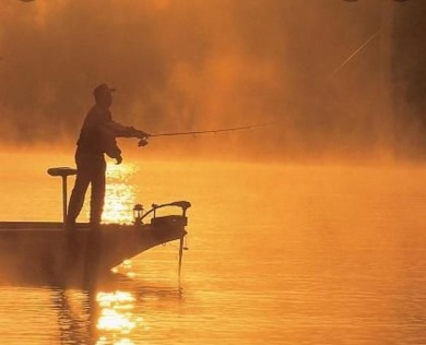 Welcome to your ideal Branson getaway or investment property in on Thousand Hills Golf Resort in Missouri - for sale on GolfHomes.com, golf home, golf lot