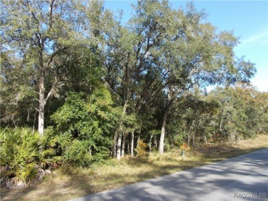 BUILDING LOT JUST OVER 1 ACRE LOCATED IN THE FOX RUN SECTION OF on Citrus Hills Golf Club in Florida - for sale on GolfHomes.com, golf home, golf lot