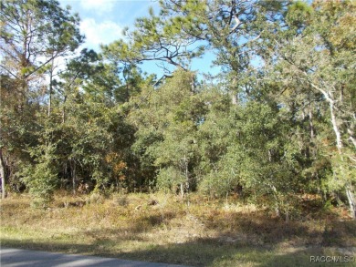 BUILDING LOT JUST OVER 1 ACRE LOCATED IN THE FOX RUN SECTION OF on Citrus Hills Golf Club in Florida - for sale on GolfHomes.com, golf home, golf lot