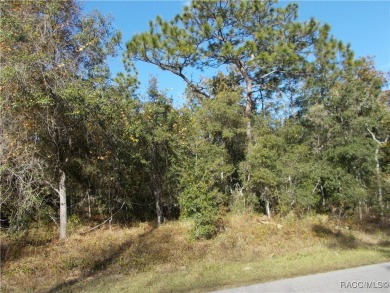 BUILDING LOT JUST OVER 1 ACRE LOCATED IN THE FOX RUN SECTION OF on Citrus Hills Golf Club in Florida - for sale on GolfHomes.com, golf home, golf lot