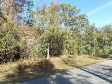 BUILDING LOT JUST OVER 1 ACRE LOCATED IN THE FOX RUN SECTION OF on Citrus Hills Golf Club in Florida - for sale on GolfHomes.com, golf home, golf lot