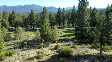 This gently sloping parcel perched above the 18th tee offers an on Nakoma Golf Resort in California - for sale on GolfHomes.com, golf home, golf lot