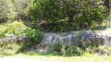 Looking for a nice building lot in Holiday Island with a view? on Holiday Island Executive Golf Course in Arkansas - for sale on GolfHomes.com, golf home, golf lot