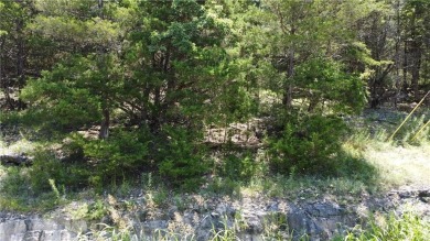 Looking for a nice building lot in Holiday Island with a view? on Holiday Island Executive Golf Course in Arkansas - for sale on GolfHomes.com, golf home, golf lot