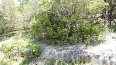 Looking for a nice building lot in Holiday Island with a view? on Holiday Island Executive Golf Course in Arkansas - for sale on GolfHomes.com, golf home, golf lot