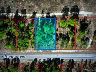 Discover the perfect opportunity to build your dream home on on Pine Ridge Community Golf and Country Club in Florida - for sale on GolfHomes.com, golf home, golf lot