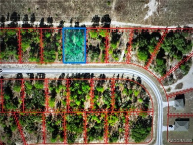 Discover the perfect opportunity to build your dream home on on Pine Ridge Community Golf and Country Club in Florida - for sale on GolfHomes.com, golf home, golf lot