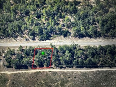 Discover the perfect opportunity to build your dream home on on Pine Ridge Community Golf and Country Club in Florida - for sale on GolfHomes.com, golf home, golf lot