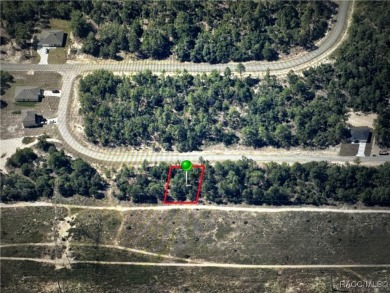 Discover the perfect opportunity to build your dream home on on Pine Ridge Community Golf and Country Club in Florida - for sale on GolfHomes.com, golf home, golf lot