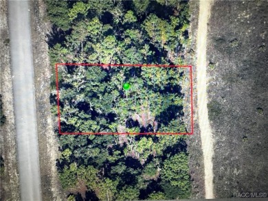 Discover the perfect opportunity to build your dream home on on Pine Ridge Community Golf and Country Club in Florida - for sale on GolfHomes.com, golf home, golf lot