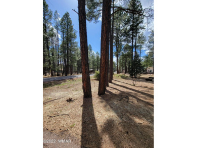 134.69 feet of Fairway Frontage on the Pinetop Country Club Golf on Pinetop Lakes Country Club in Arizona - for sale on GolfHomes.com, golf home, golf lot