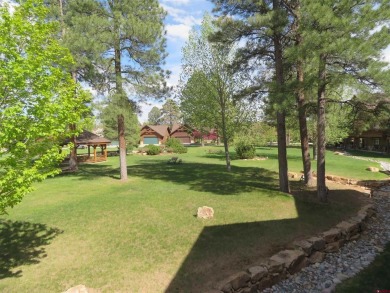 Leland Riley, Jann C Pitcher Real Estate, CELL: , leeriley,  : on Pagosa Springs Golf Club in Colorado - for sale on GolfHomes.com, golf home, golf lot