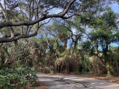 This unique cul-de-sac gem within the prestigious Hideaway Beach on Hideaway Beach Golf Course in Florida - for sale on GolfHomes.com, golf home, golf lot