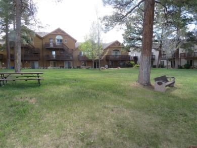 Leland Riley, Jann C Pitcher Real Estate, CELL: , leeriley,  : on Pagosa Springs Golf Club in Colorado - for sale on GolfHomes.com, golf home, golf lot