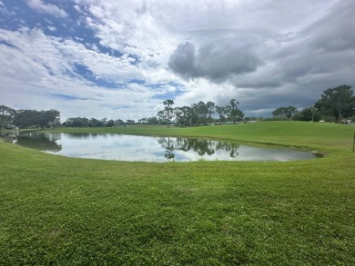 This completely remodeled, stucco Palm Harbor home is located on on Del Tura Golf and Country Club in Florida - for sale on GolfHomes.com, golf home, golf lot
