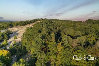 Unparalleled Lake Michigan views await on this 4-acre Driftwood on Benona Shores Golf Course in Michigan - for sale on GolfHomes.com, golf home, golf lot