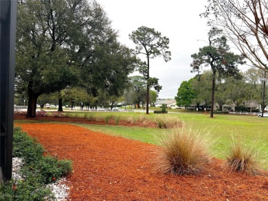All reasonable offers will be consider by the sellers. Welcome on On Top of the World Golf Course in Florida - for sale on GolfHomes.com, golf home, golf lot
