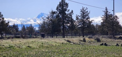 Nestled beneath the gaze of majestic Mt. Shasta, this charming on Lake Shastina Golf Course in California - for sale on GolfHomes.com, golf home, golf lot