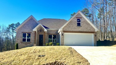 New construction built by Charles Anderson Homes in Diamondhead on Diamondhead Golf and Country Club in Arkansas - for sale on GolfHomes.com, golf home, golf lot