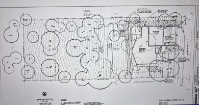 STUNNING LAKE VIEW LOT FOR SALE IN THE LAKE ALMANOR COUNTRY CLUB on Lake Almanor Country Club in California - for sale on GolfHomes.com, golf home, golf lot