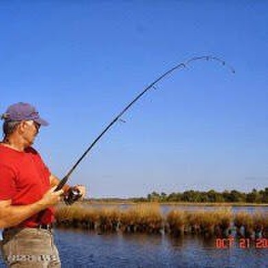 Premier waterfront lot, fully developed. One of the last prime on Brick Landing Plantation Yacht and Golf Club in North Carolina - for sale on GolfHomes.com, golf home, golf lot