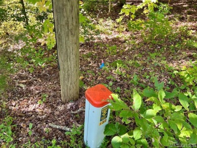 This quiet cul-de-sac lot offers exceptional privacy, backing up on Tanglewood Shores Golf Club in Virginia - for sale on GolfHomes.com, golf home, golf lot