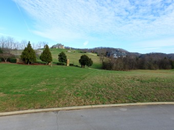 Must be accompanied by a Real Estate Agent to have access to on Rarity Bay Country Club - Loudon in Tennessee - for sale on GolfHomes.com, golf home, golf lot