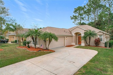 Welcome to your dream home in the Opal Hill section of LPGA on LPGA International Golf Course in Florida - for sale on GolfHomes.com, golf home, golf lot