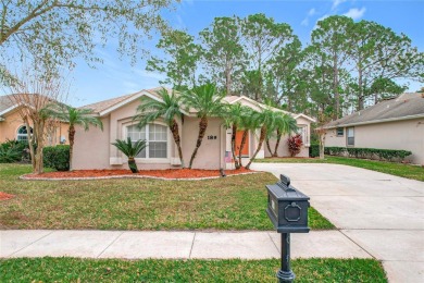 Welcome to your dream home in the Opal Hill section of LPGA on LPGA International Golf Course in Florida - for sale on GolfHomes.com, golf home, golf lot